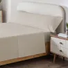 ALM DART PERCAL - DART PERCAL 100% ALG. BEIGE